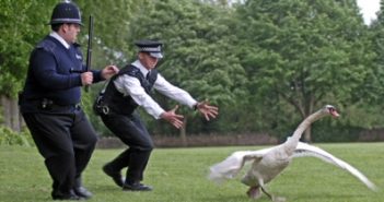 Movie Review: Hot Fuzz