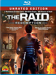 Movie Review: The Raid: Redemption